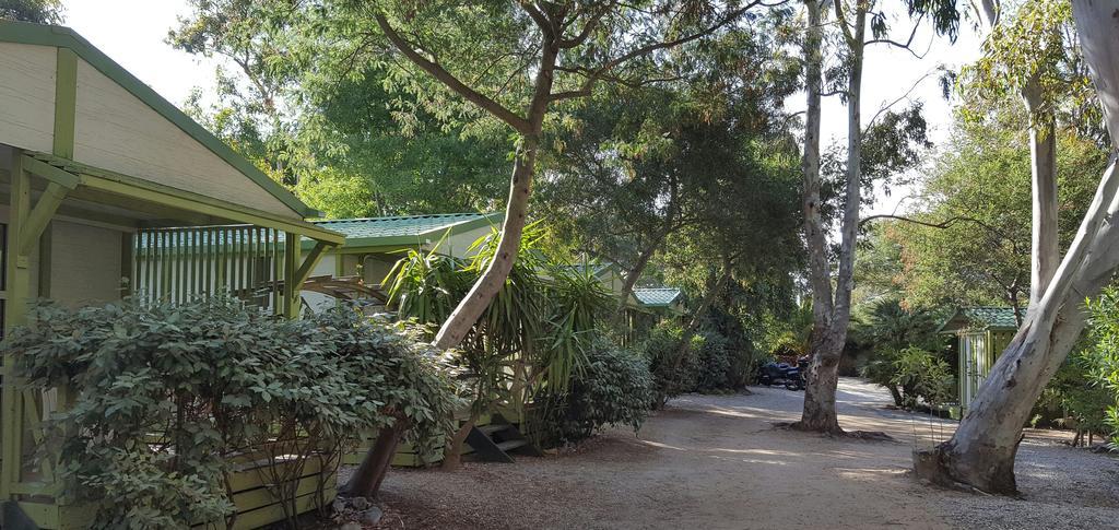Camping La Cle Des Champs Καλβί Εξωτερικό φωτογραφία