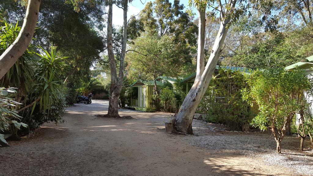 Camping La Cle Des Champs Καλβί Εξωτερικό φωτογραφία