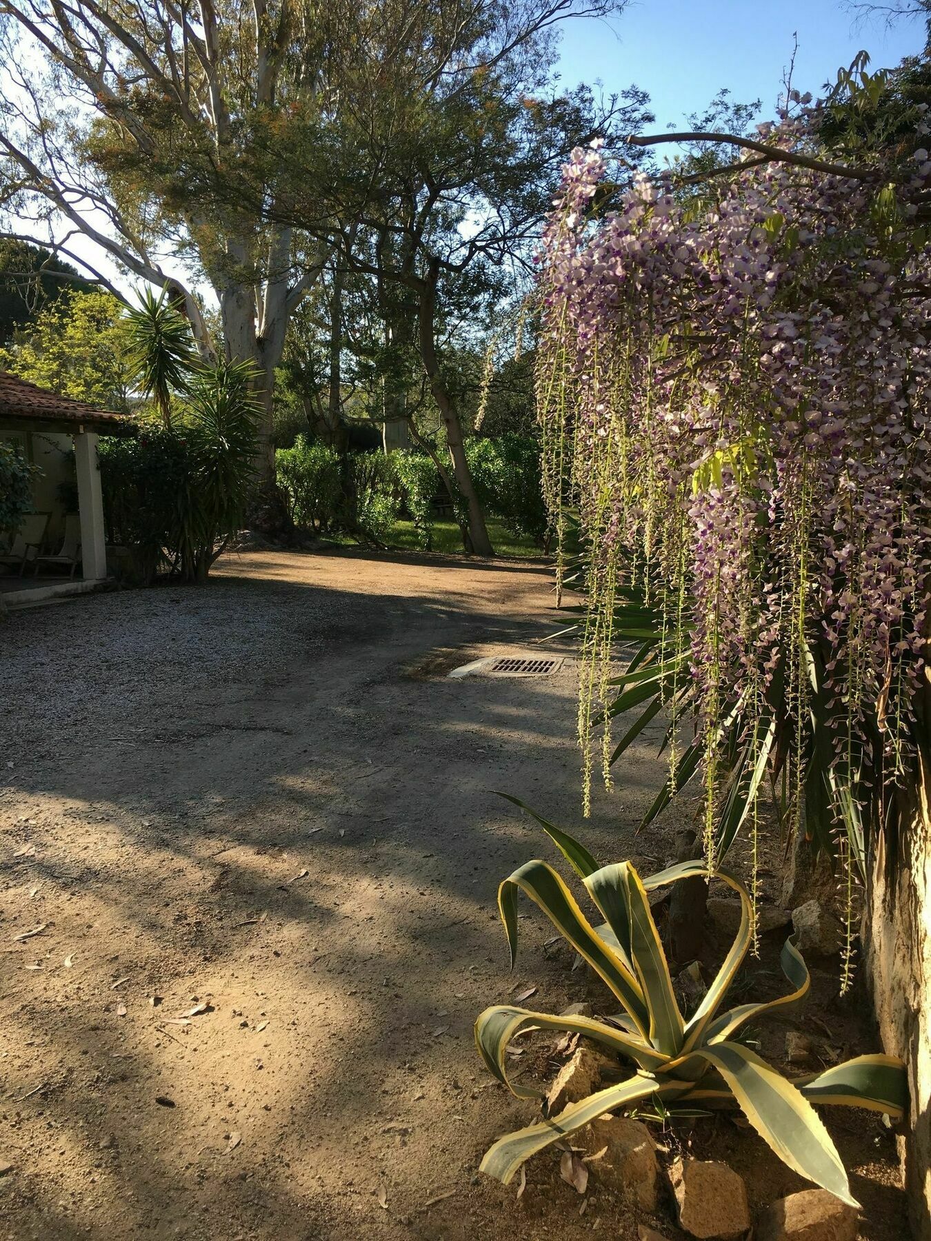 Camping La Cle Des Champs Καλβί Εξωτερικό φωτογραφία
